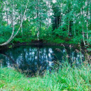 купить дачу недорого купить дачу недорого