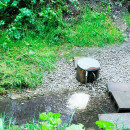 купить дачу недорого купить дачу недорого