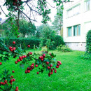 купить квартиру рядом с городом Таллин купить квартиру рядом с городом Таллин