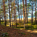 Локса купить квартиру в городе Локса Эстония