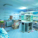 купить помещение под бизнес Таллинн купить помещение под бизнес Таллинн