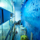 купить помещение под бизнес Таллинн купить помещение под бизнес Таллинн