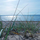 Купить квартиру вблизи песчаного пляжа озера Клоога; Купить квартиру вблизи песчаного пляжа озера Клоога;