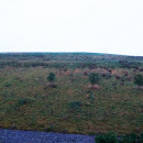 аренда квартиры в таллине аренда квартиры в таллине