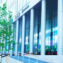 Аренда коммерческого помещения с большими окнами