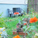 Сдается комната в частном доме