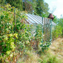 продажа участка в Клогаранна от GoldgateOU