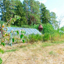 На участке есть вода. Возможно подключить электричество