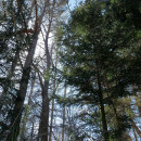 Продаётся участок земли хозяйственного назначения - остров Хийумаа