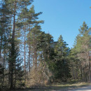 Продаётся участок земли хозяйственного назначения - остров Хийумаа