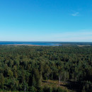 9 участков . Лохомаский парк