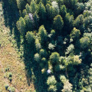 Большой жилой участок в Лохомаском парке - Продажа