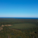 9 участков . Лохомаский парк