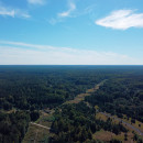 9 участков . Лохомаский парк