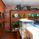 «Вниманию инвесторов! Помещение с отдельным входом — спешите занять его первым - Продажа